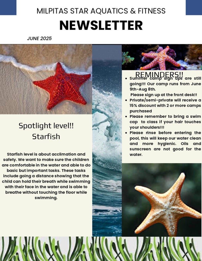 Blue Minimalist Company Newsletter