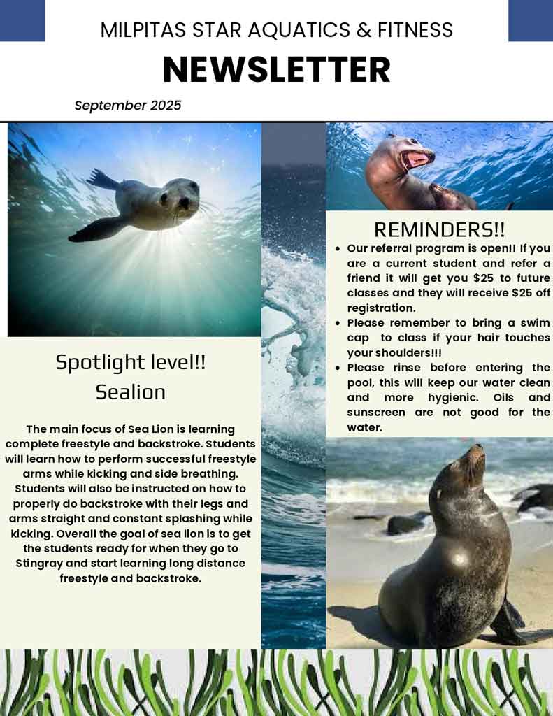 Blue-Minimalist-Company-Newsletter