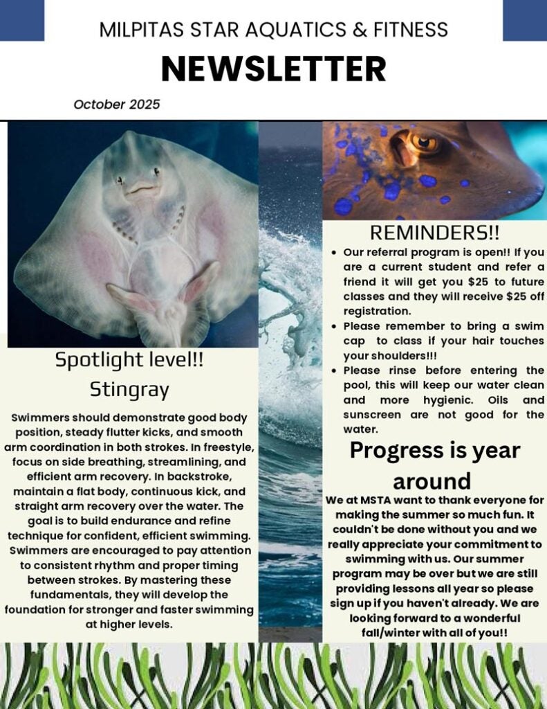 Blue Minimalist Company Newsletter